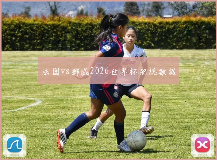 法国vs挪威2026世界杯犯规数据