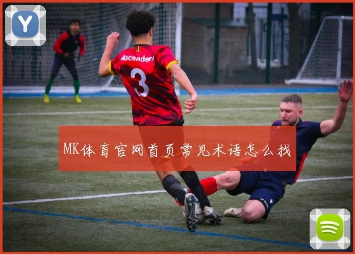 MK体育官网首页常见术语怎么找