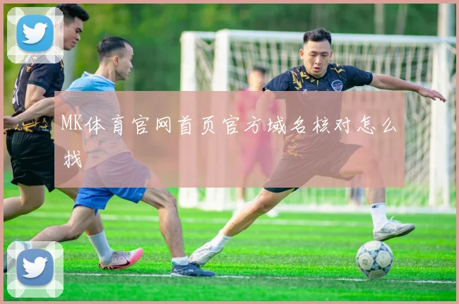 MK体育官网首页官方域名核对怎么找