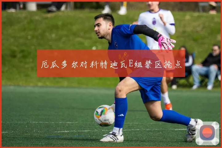 厄瓜多尔对科特迪瓦E组禁区抢点