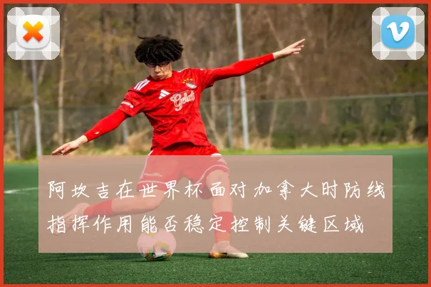 阿坎吉在世界杯面对加拿大时防线指挥作用能否稳定控制关键区域