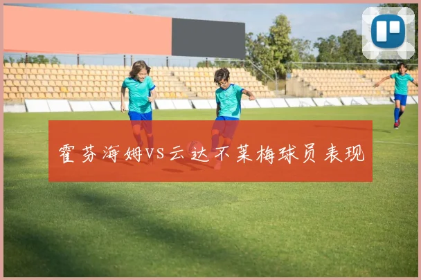 霍芬海姆vs云达不莱梅球员表现